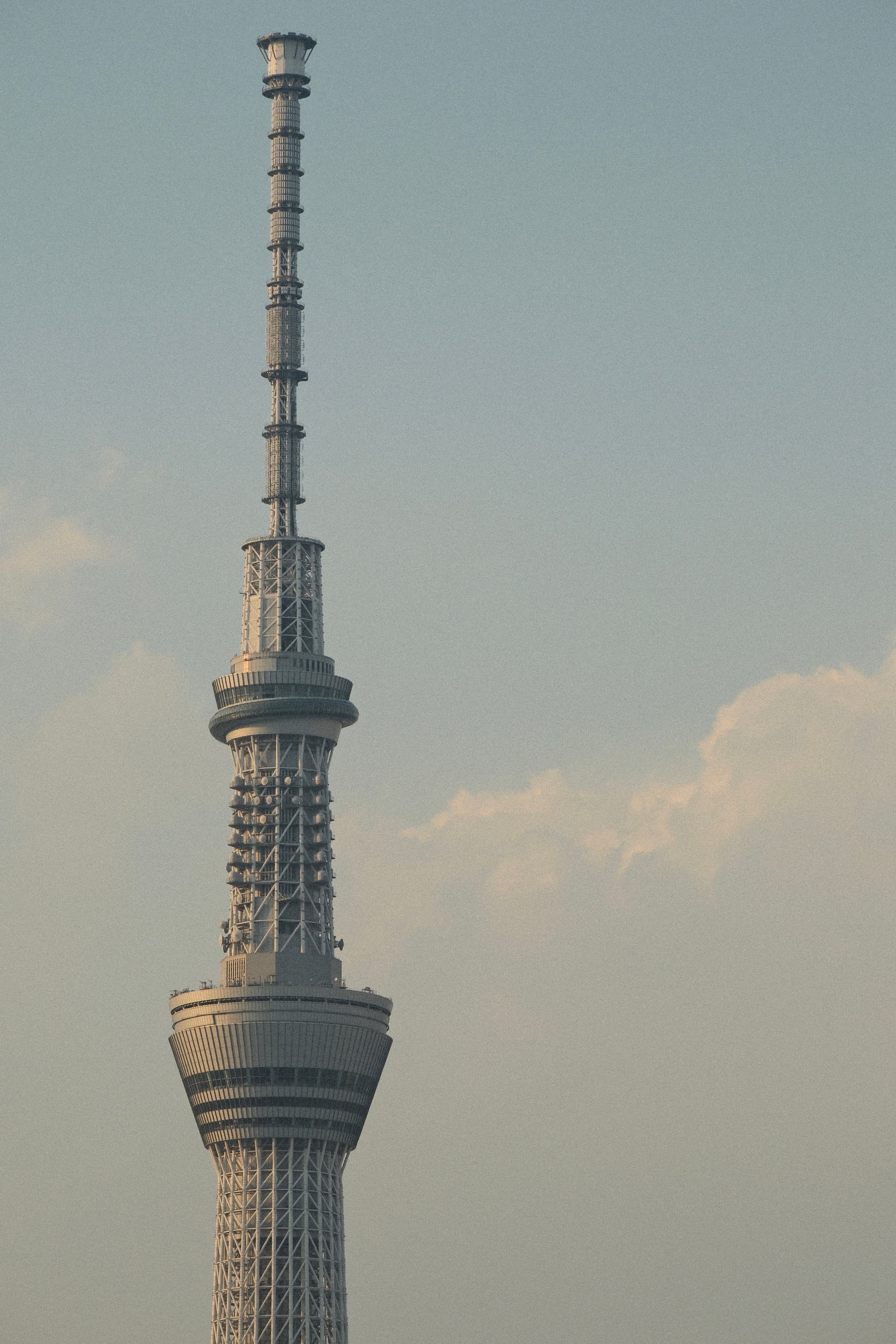 夕方のスカイツリー🌆