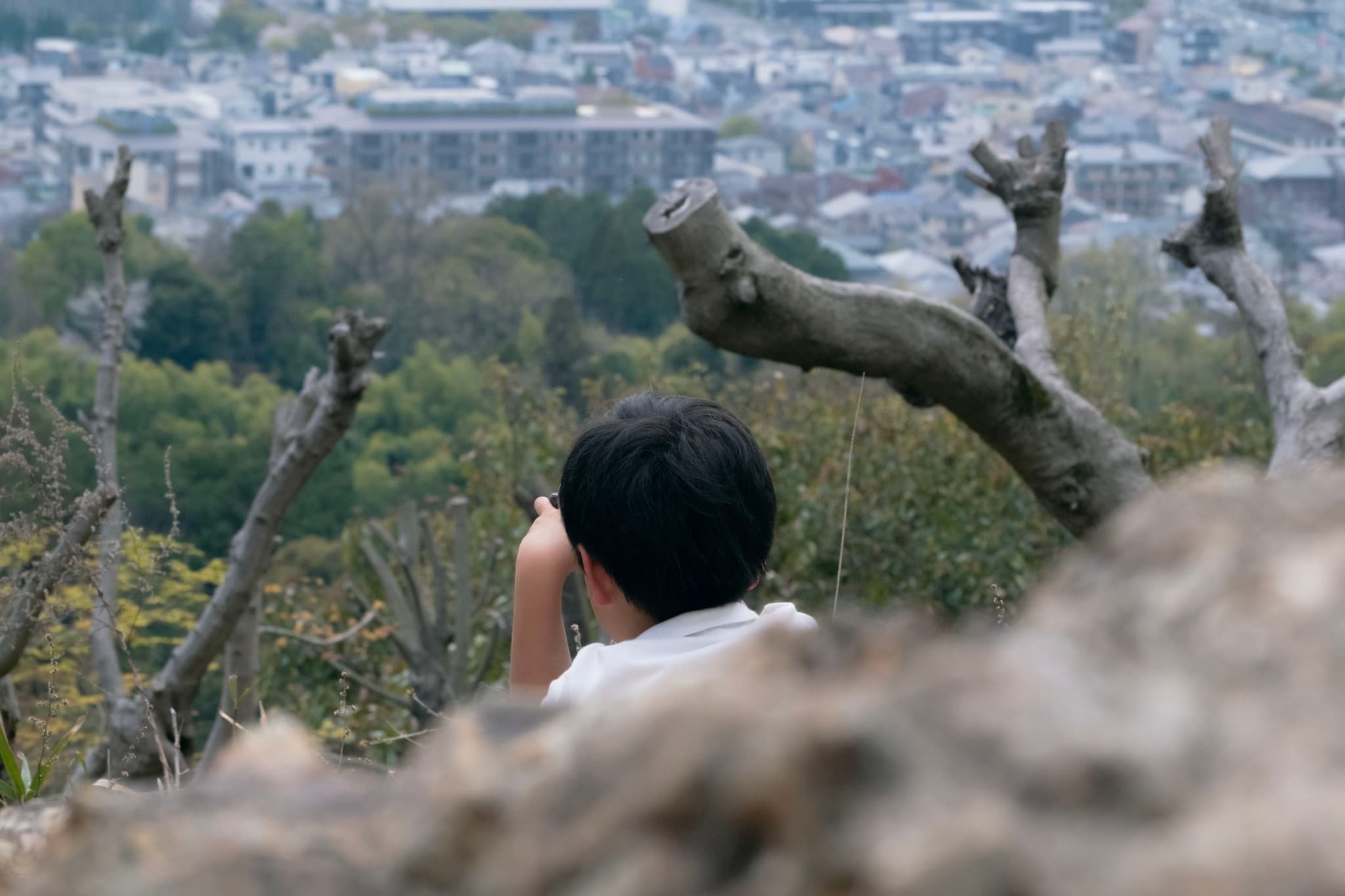 京都眺める少年